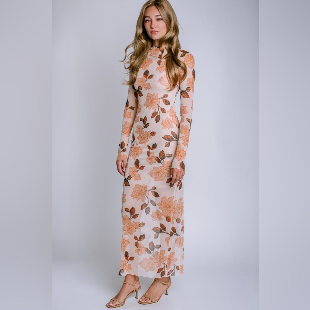Favorite Daughter Sheer Fantasy Dress NWT